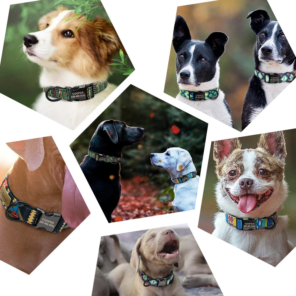 Personalized Dog Collar Custom Puppy Pet Collar Pitbull Collars Pets Acessorios Products Small Dog Collar for Medium Large Pet
