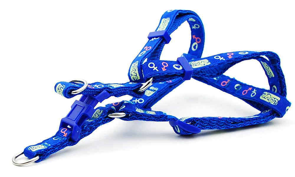 Pet Dog Harness and Leash Adjustable Collar Pet Products for Cat Small Dogs Outdoor Walking Puppy Accessories