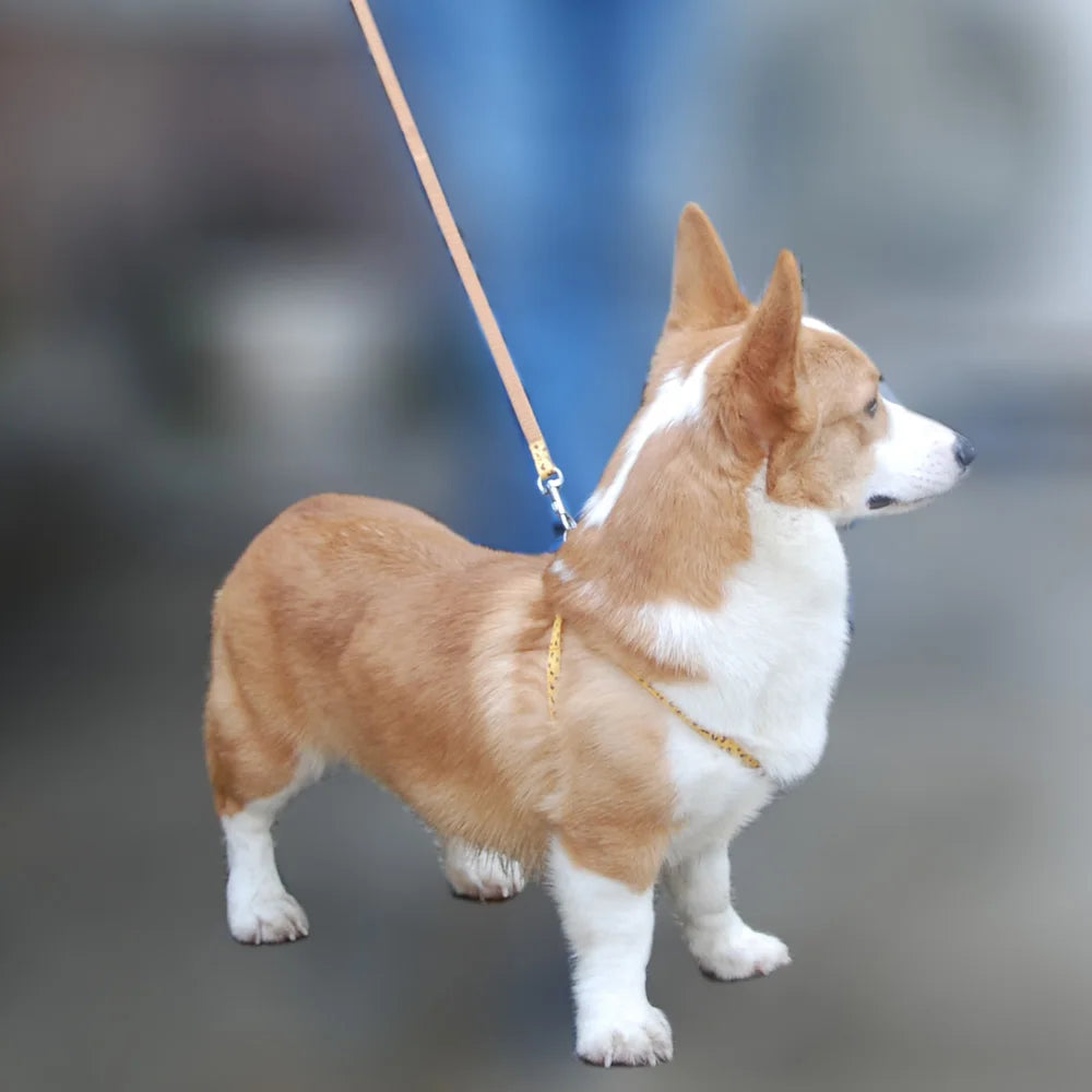 Pet Dog Harness and Leash Adjustable Collar Pet Products for Cat Small Dogs Outdoor Walking Puppy Accessories