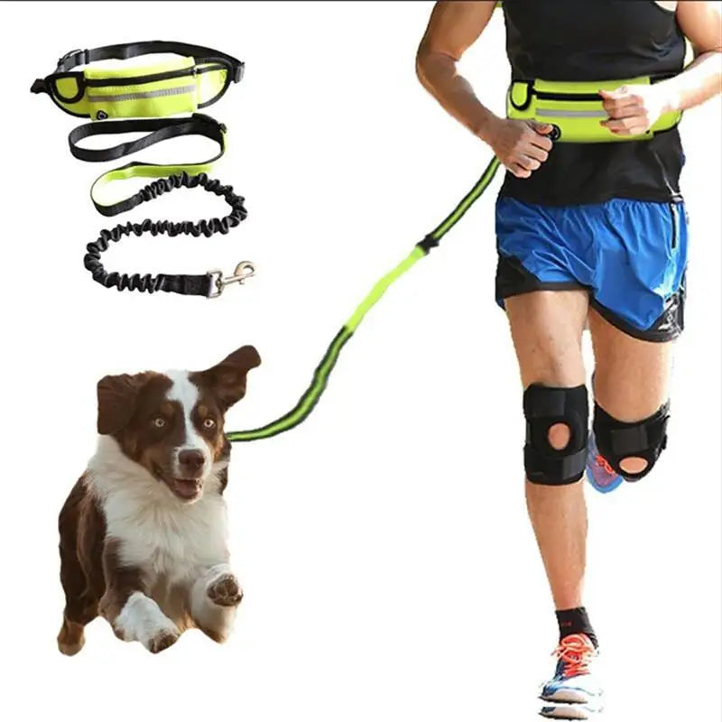 Hands Free Dog Leash for Running Walking Reflective Leash with Waist Bag Retractable Elastic Belt Dog Traction Rope Pet Products